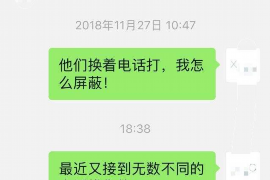 怎么投诉拍拍贷催收？正确途径与注意事项